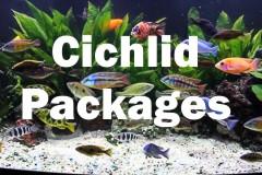 Cichlid Packages